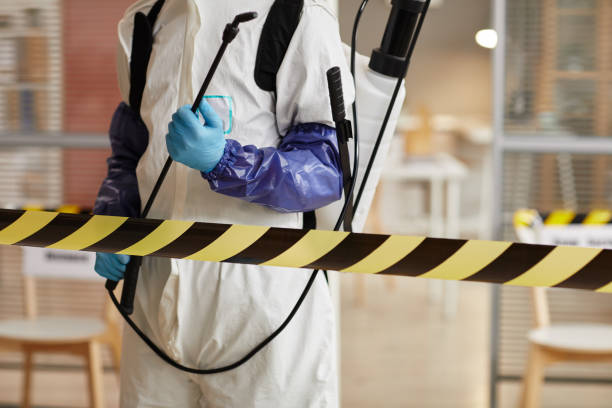 Professional Sewage Cleanup technician working in Roseland, NJ